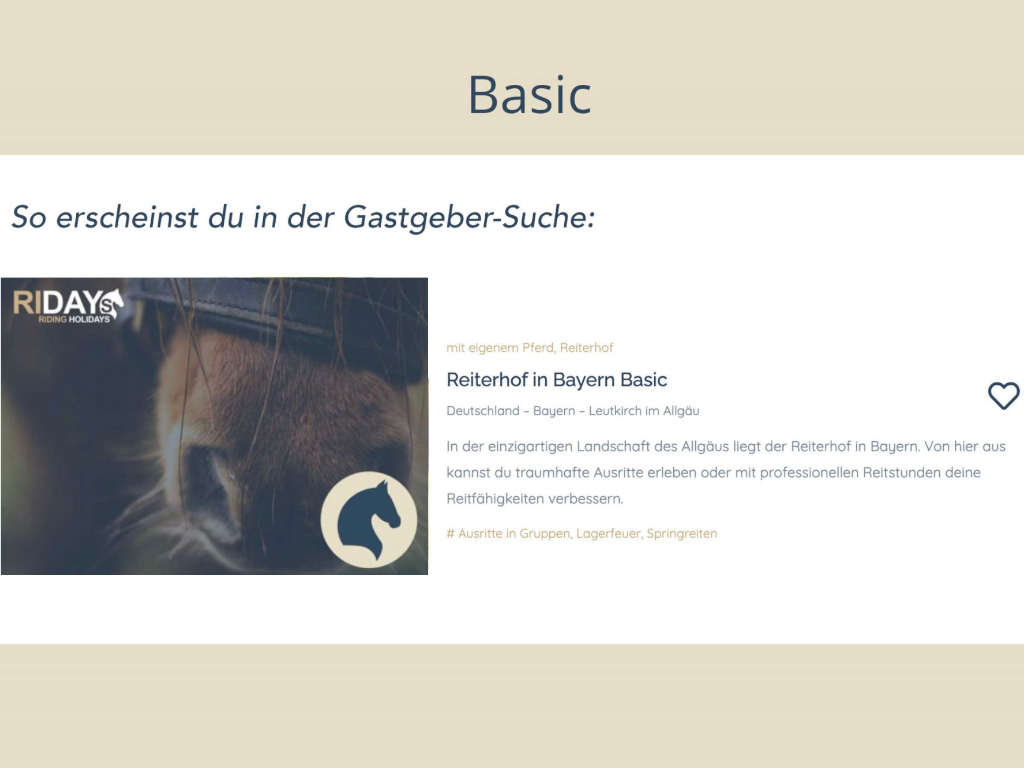 Beispiel eines Basic-Profils auf RIDAYS.de