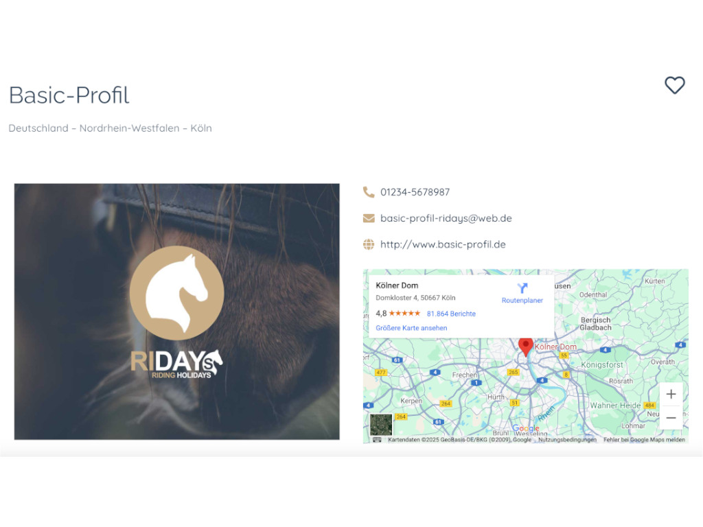 Beispiel eines Basic-Profils auf RIDAYS.de