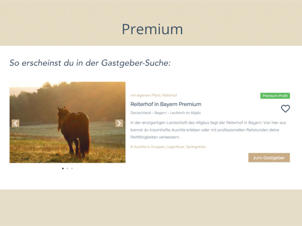 Beispiel eines Premium-Profils auf RIDAYS.de