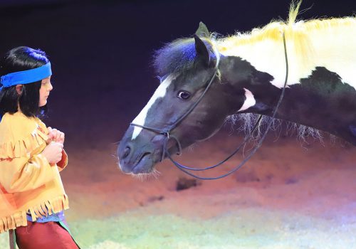 Yakari und Kleiner Donner